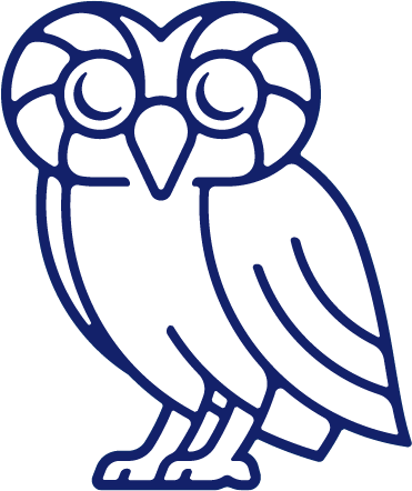 Rice Owl