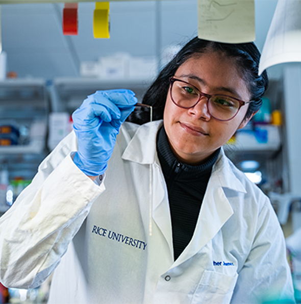 Wokring in a lab